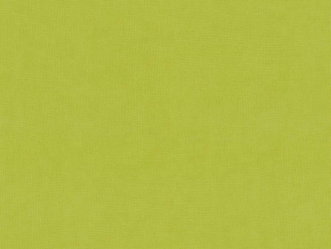 Taralay Initial Comfort - 0515 Diversion Kiwi